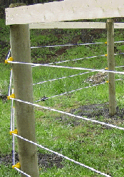 Woodwork How To Build Wood Round Pen PDF Plans