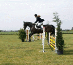 Equestrian Jumping