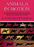 Muybridge Book Animals in Motion