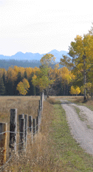 Polebridge Montana Fence