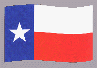 Texas Flag