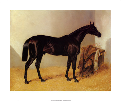 Charles XII Horse Painting by J. Herring