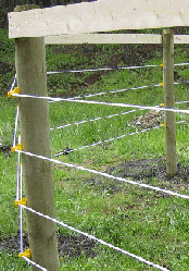 Round Pen Construction Detail