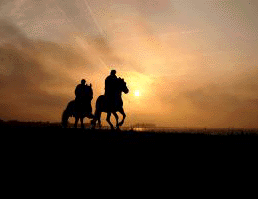 Horseback riding at sunset Horseback riding at sunset