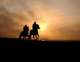 Horseback riding at sunset